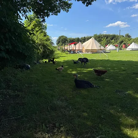 Hof Viehbrook Rendswuhren