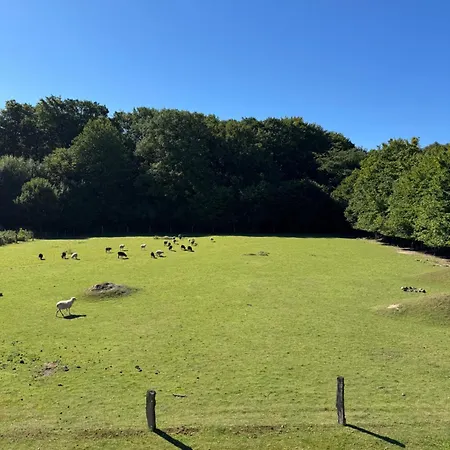 Hof Viehbrook Роскошный шатер