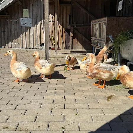Hof Viehbrook