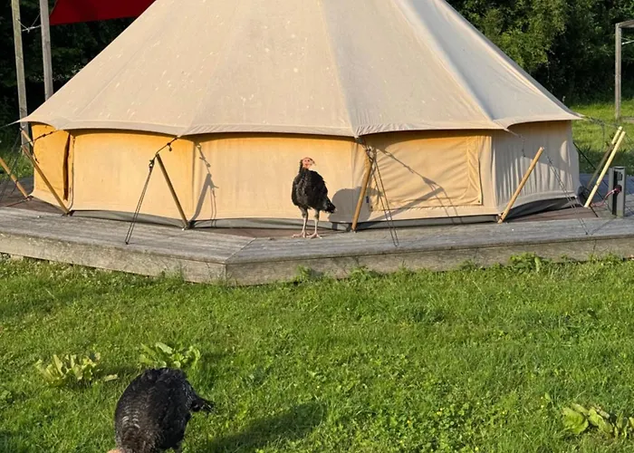 Luxe tent Hof Viehbrook Rendswuhren