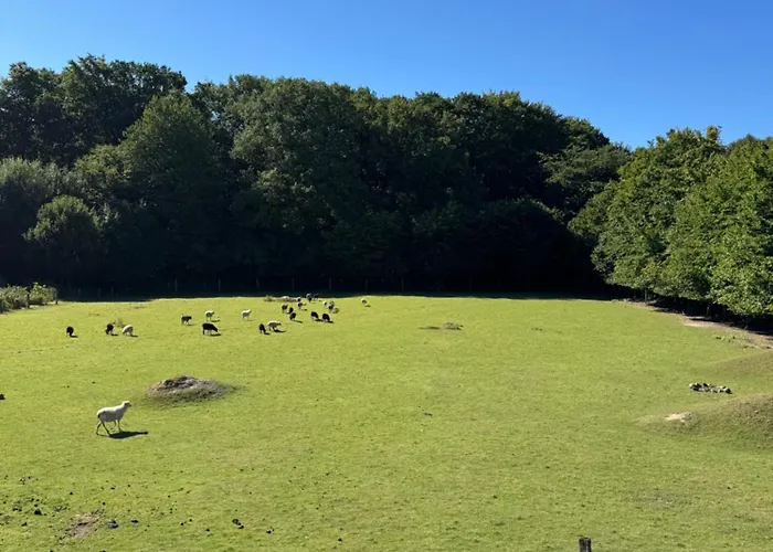 Hof Viehbrook Luxe tent