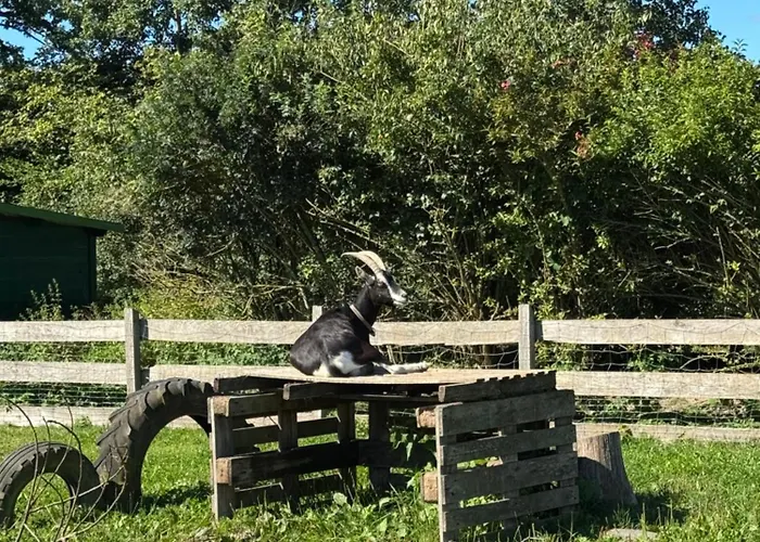 Hof Viehbrook Luxe tent Rendswuhren